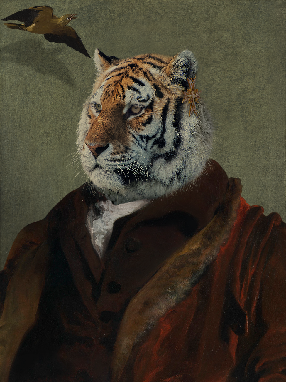 The Fat Tigers #5765